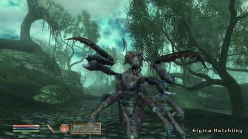 The Elder Scrolls IV: Shivering Isles - Xbox 360 (Renewed) in Saudi Arabia
