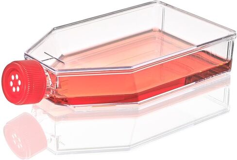 Diamond SureGro Cell Culture Flask, Tissue Culture Treated, 25cm2, Vent Cap, Sterile, 10/Bag, 200/Case in Saudi Arabia