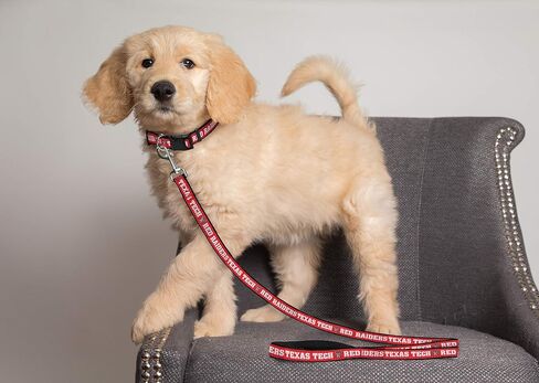 NCAA PET Leash, Medium, Ohio State Buckeyes, Dog Leash, Shiny & Colorful Leash for Dogs & Cats Licensed by The NCAA, New Version in Saudi Arabia