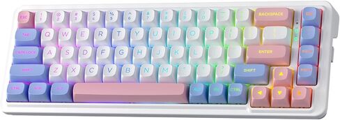Redragon K709 PRO 65% Wireless Gasket RGB Gaming Keyboard, 68 Keys Hot-Swap Compact Mechanical Keyboard w/Free-Mod Socket, 5-Layer Noise Dampening & Round PBT Keycaps, Quiet Custom Linear Switch in Saudi Arabia