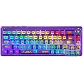 60% Transparent Hot Swappble Mechanical Keyboard,Wireless Gaming Keyboard with RGB Backlit,BT5.0/2.4G/USB-C Clear Keyboard for Windows/Mac/Android,68 Keys,Gasket Structures