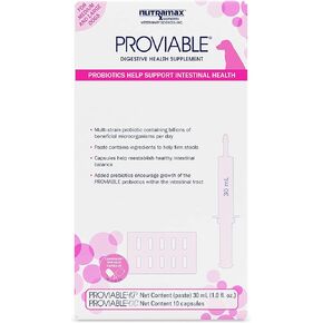 Nutramax Proviable Digestive Health Supplement Kit with Multi-Strain Probiotics and Prebiotics for Medium to Large Dogs - with 7 Strains of Bacteria, 30 mL Paste and 10 Capsules