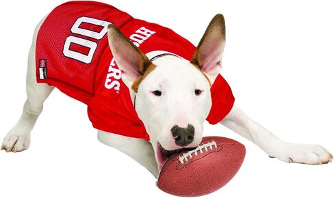 Pets First NCAA College Florida State University Mesh Jersey for DOGS & CATS, Size Small, Licensed Dog Jersey with your Favorite Football/Basketball College Team in Saudi Arabia