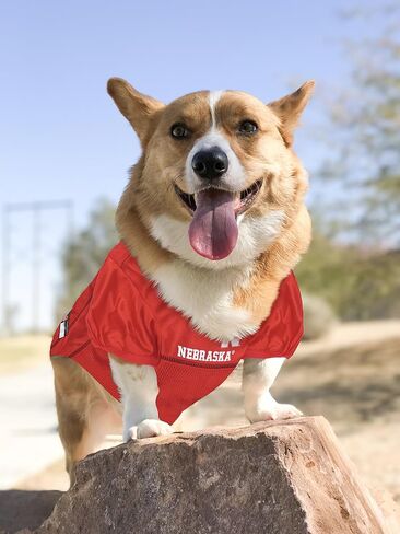 Pets First NCAA College Florida State University Mesh Jersey for DOGS & CATS, Size Small, Licensed Dog Jersey with your Favorite Football/Basketball College Team in Saudi Arabia
