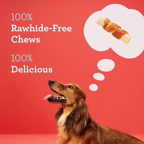 DreamBone Mini Broomsticks 8 Count, Wrapped with Real Chicken, Rawhide-Free Halloween Chews for Dogs in Kuwait