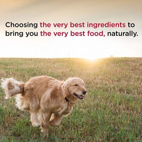 Diamond Naturals Beef Dinner Can Dog 12/13.2oz in Saudi Arabia