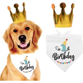 YROVWENQ Family Kitchen Funny Cute 2 Years Dog Birthday Bandana Scarfs with Dog Birthday Party Crown Hat Doggie Cat Triangle Scarf for Pet 2nd Birthday Party Decoration