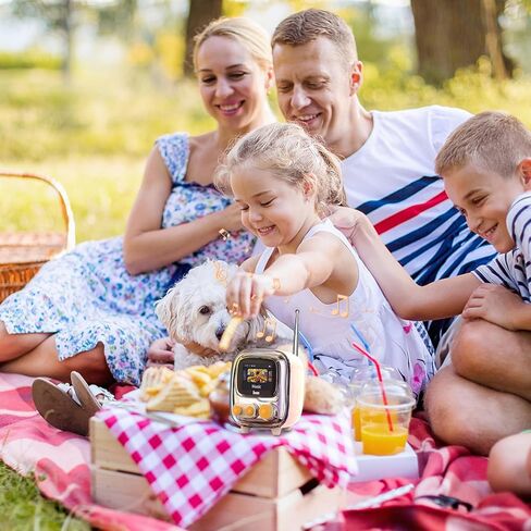 Divoom Tiivoo-2 Retro Bluetooth Speaker with FM Radio,Pixel Art Portable Mini Cute Wireless Small Speaker,Vintage Decor Suitble for Party Office Desk Home Bedroom Kitchen,Pink in Kuwait