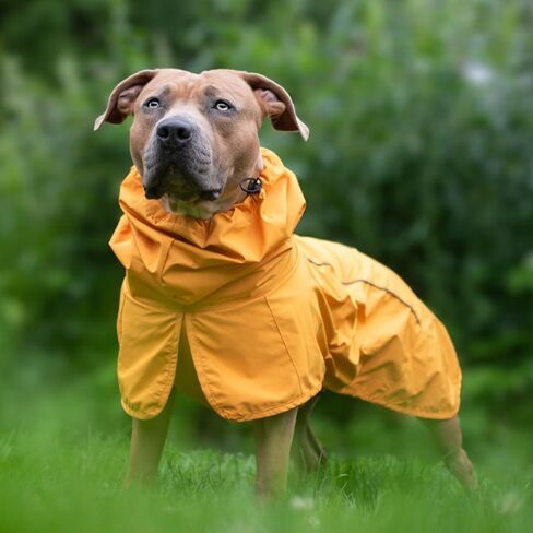 Spark Paws Dog Raincoat, Waterproof Windproof Rain Jacket, for Small Medium Large Extra Large Dogs, Reflective Breathable Full-Body Coverage Dry Suit - Sea Pink, 3XL in Kuwait