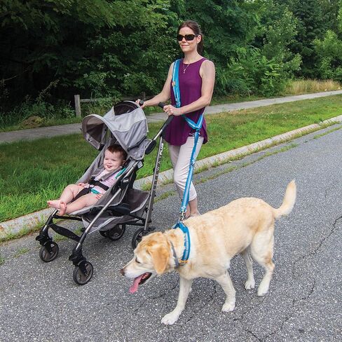 حزام الجري للكلاب بدون استخدام اليدين من كورجو، حزام الخصر، أزرق ساحلي in Kuwait