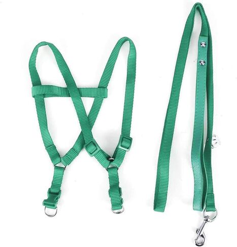 حزام ومقود الطيور من ASOCEA قابلان للتعديل من أجل الببغاء والببغاء الأمازوني من السلالات المتوسطة والكبيرة يناسب صدر الطيور بين 33-50 سم/13-19.7 بوصة - M in Kuwait