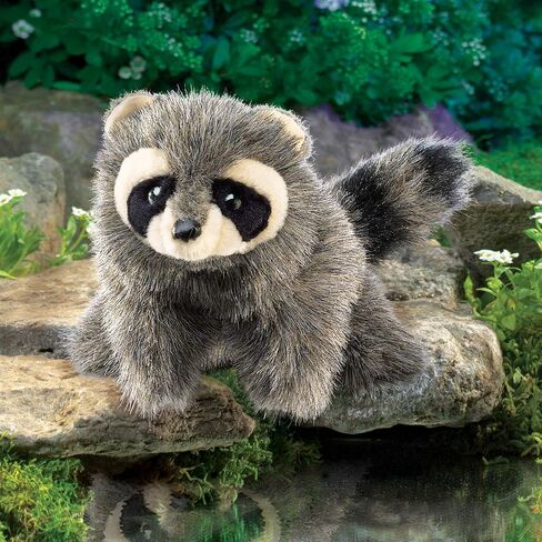 Folkmanis Baby Raccoon Hand Puppet, Gray, 1 EA in Saudi Arabia