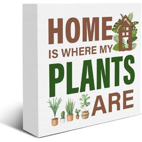 عاشق النبات تسجيل الهيكل العظمي النباتات الخشب كتلة تسجيل بطاقة التارو ديكور مكتب تسجيل رف المنزل منضدية ديكور 5X5 بوصة in Kuwait