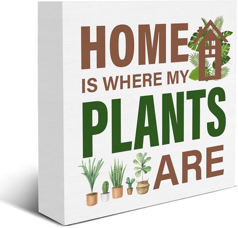 عاشق النبات تسجيل الهيكل العظمي النباتات الخشب كتلة تسجيل بطاقة التارو ديكور مكتب تسجيل رف المنزل منضدية ديكور 5X5 بوصة in Kuwait