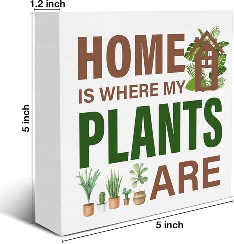 عاشق النبات تسجيل الهيكل العظمي النباتات الخشب كتلة تسجيل بطاقة التارو ديكور مكتب تسجيل رف المنزل منضدية ديكور 5X5 بوصة in Kuwait