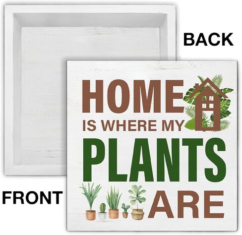 عاشق النبات تسجيل الهيكل العظمي النباتات الخشب كتلة تسجيل بطاقة التارو ديكور مكتب تسجيل رف المنزل منضدية ديكور 5X5 بوصة in Kuwait