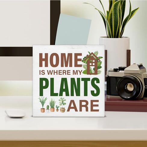 عاشق النبات تسجيل الهيكل العظمي النباتات الخشب كتلة تسجيل بطاقة التارو ديكور مكتب تسجيل رف المنزل منضدية ديكور 5X5 بوصة in Kuwait