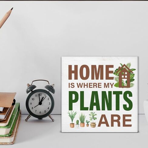 عاشق النبات تسجيل الهيكل العظمي النباتات الخشب كتلة تسجيل بطاقة التارو ديكور مكتب تسجيل رف المنزل منضدية ديكور 5X5 بوصة in Kuwait