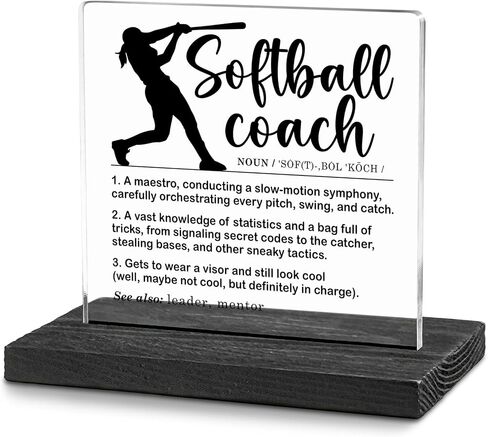 Assistant Definition Desk Decor Sign, Assistant Thank You Gift, Amazing Assistant Gift, Assistant Appreciation Gifts for Women, Men, Assistant Office Decorative Signs Plaques WDE17 in Saudi Arabia