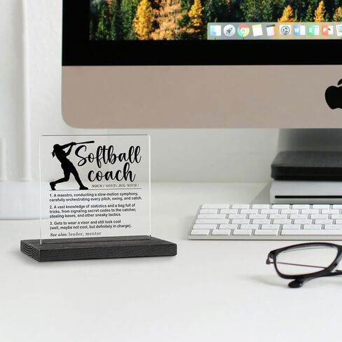 Assistant Definition Desk Decor Sign, Assistant Thank You Gift, Amazing Assistant Gift, Assistant Appreciation Gifts for Women, Men, Assistant Office Decorative Signs Plaques WDE17 in Saudi Arabia