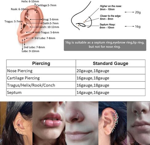 Rose Gold Hinged 20g 18g 16g Nose Rings Hoops 6mm 8mm 10mm 12mm 14mm 16mm Septum Ring Clicker Cartilage Helix Hoop Earrings Set in Saudi Arabia
