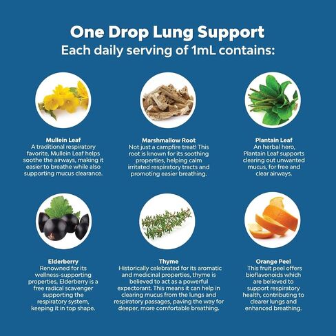 Mullein Leaf Extract for Lungs Support Lung Cleanse and Respiratory Function for Healthy Breathing,Natural Supplement, Tincture Drops | Non-GMO, Vegetarian 1Pack in Saudi Arabia