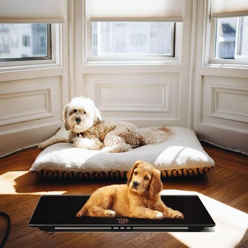 YTCYKJ Digital Dog Scale, Pet Scale Large Platform with Tape Measure, Veterinary Scale Platform Scale 31.5 * 19.7 Inch Accurate Weighing, Heavy Duty Vet Animal Scale,3 Unit Modes, Max 220 lbs in Kuwait