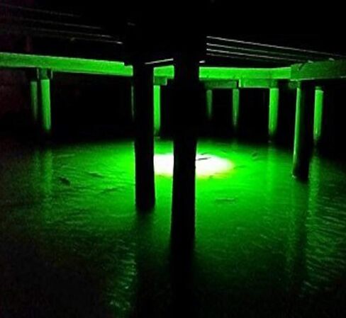 Green Blob Outdoors مصباح صيد جديد تحت الماء LED للأحواض 7500 أو 15000 لومن مع سلك طاقة 110 فولت تيار متردد 30 قدمًا أو 50 قدمًا، كرابي، سنوك، جاذب الأسماك، صنع في تكساس in Kuwait
