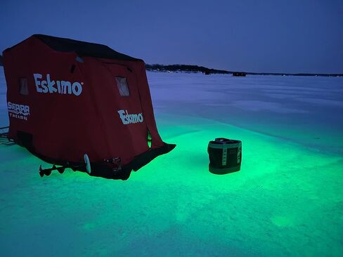 Green Blob Outdoors مصباح صيد جديد تحت الماء LED للأحواض 7500 أو 15000 لومن مع سلك طاقة 110 فولت تيار متردد 30 قدمًا أو 50 قدمًا، كرابي، سنوك، جاذب الأسماك، صنع في تكساس in Kuwait
