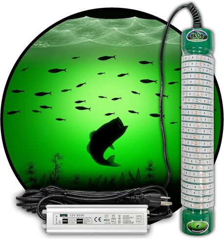 Green Blob Outdoors مصباح صيد جديد تحت الماء LED للأحواض 7500 أو 15000 لومن مع سلك طاقة 110 فولت تيار متردد 30 قدمًا أو 50 قدمًا، كرابي، سنوك، جاذب الأسماك، صنع في تكساس in Kuwait