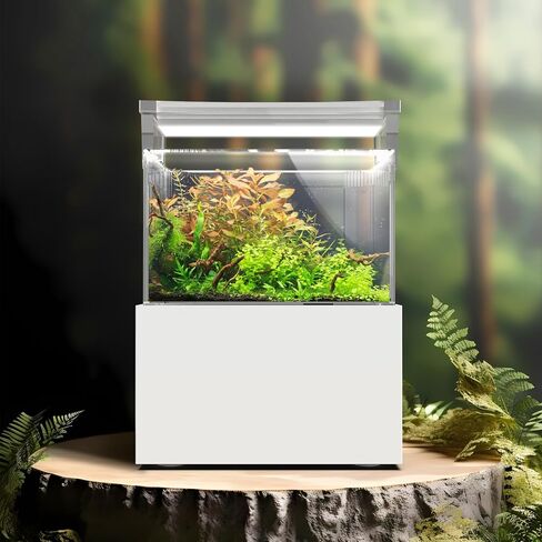 حوض سمك صغير ممتاز الكل في واحد من الأكريليك 0.95 جالون (3.6 لتر) مع نظام فلتر خلفي وإضاءة LED (BF-01B) in Kuwait