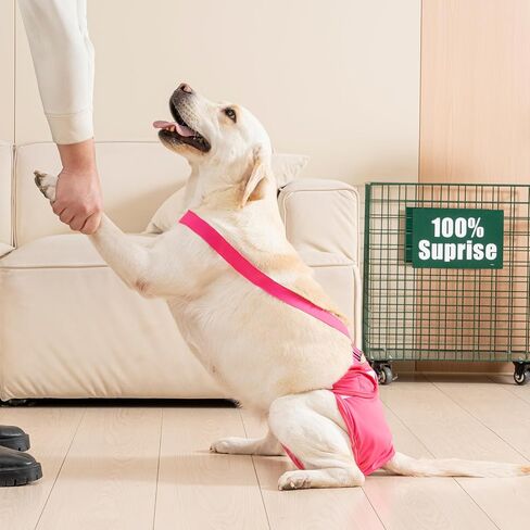 3 Pack Avont Washable Female Dog Diaper with Suspender, Reusable Girl Doggie Diapers for Small Medium Large Doggy in Heat Cycle Period Incontinence -L in Saudi Arabia