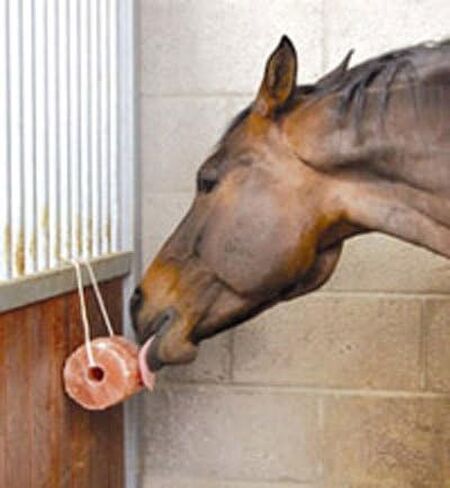 Himalayan Salt Licks Hanging 5 lb w/Rope for Horse, Equine, Cattle, Livestock, Llama, Goat, and/or Sheep in Saudi Arabia