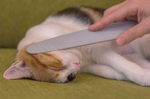 Nekojasuri Cat Groomer (Not a brush). The original. Patented, multi-awaded and expertly crafted in Japan to closely resemble a cat's tongue. Make your cat swoon! (Grey) in Saudi Arabia