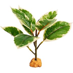 Woyrise Reptile Plants for Terrarium Decor, Amphibian Habitat Artificial Plant, Bearded Dragon Tank Accessories fit Gecko Lizard Chameleon Ball Python Snake Frog - Ficus Microcarpa