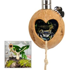 Handmade Jumping Spider Hide - Spider Cage, Hide & Accessories - Walnut Skin Spider Terrarium with Magnetic Hidden Habitat | Small Animal Houses & Habitats