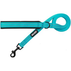 azuza Durable Padded Dog, Reflective Strip Extra Safe and Comfy for Small Dogs,Blue