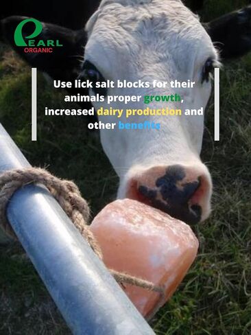 New 8 lbs Animal Himalayan Salt Lick on Rope for Horses, Deer, Rabbits, Cows and Other Livestock | Lick Salt for Deer | Digestive Aid for Animals | Horse Treats (8 lbs) in Saudi Arabia