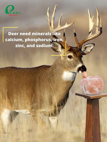New 8 lbs Animal Himalayan Salt Lick on Rope for Horses, Deer, Rabbits, Cows and Other Livestock | Lick Salt for Deer | Digestive Aid for Animals | Horse Treats (8 lbs) in Saudi Arabia