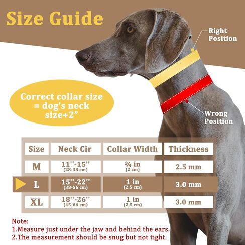 Mayerzon Martingale No Pull Dog Collar, Reflective Walking Collar for Large in Saudi Arabia