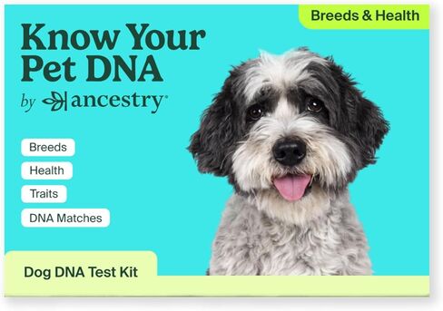 AncestryDNA Know Your Pet DNA: Dog DNA Breed Identification Test, Dog Health Screening, Genetic Traits, DNA Matches, Dog DNA Test in Saudi Arabia