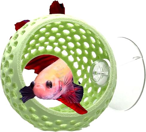 CTWPets Betta Bulb Hide | Betta Rest Fish Tank Ornament | Aquarium Cave with Suction Cup for Small Fish Tank, Betta Habitat, Shrimp Hideout, Aquatic Decor (Cotton Candy Blue) in Kuwait