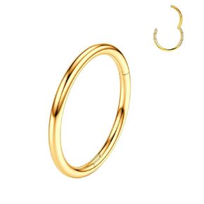 Titanium Nose Rings Hoops 16G 18G 20G Hinged Nose Piercing Hoop G23 Septum Click Nose Rings Lip Rook Lobe Tragus Helix Daith Conch Cartilage Hoop Earrings (20g(0.8mm)-8mm, Gold)