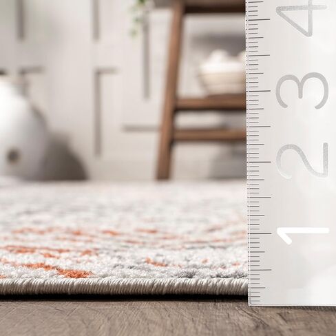 nuLOOM Arlena Vintage Traditional Area Rug - 4x6 Area Rug Modern/Contemporary Grey/Ivory Rugs for Living Room Bedroom Dining Room Kitchen in Saudi Arabia