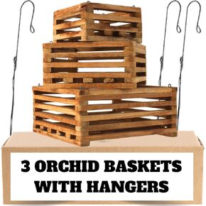 3 Strong Hanging Orchid Baskets with Hangers (1 x 10 Inches, 1 x 8 Inches, 1 x 6 Inches), Handmade, Rustic Wood Vanda Baskets, Hanging Orchid Baskets, Orchid Tree Hangers