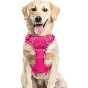Joytale Step-in No Pull Dog Harness for Small Dogs with 2 Leash Clips, Reflective Pet Vest with Easy Control Handle, Adjustable Soft Padded Harness for Walking and Training, Hotpink,S