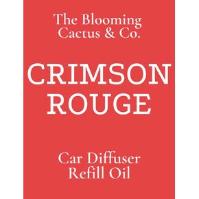 The Blooming Cactus & Co. - Car Diffuser with Refill included | Car scented on the go | Car Air Freshener Hanging | Long Lasting Fragrance | Phthalate Free Fragrance. (Black as Ice)