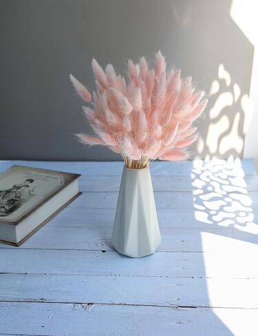 120pcs Dried Rabbit Tails, Dusty Pink Bunny Tails, Natural Bulk Dried Flowers for Diy Bohemian Wedding Rustic Party Decorations, Garlands, Cake Decorations. (Dusty Pink) in Kuwait