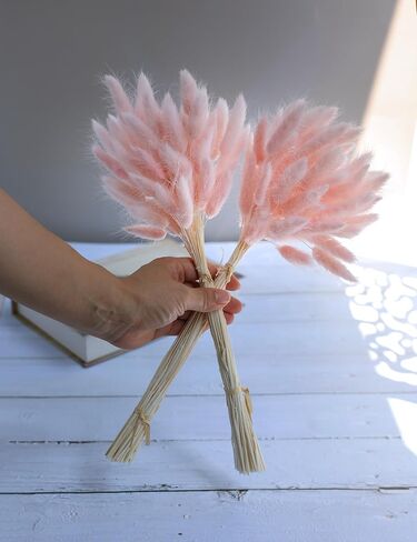 120pcs Dried Rabbit Tails, Dusty Pink Bunny Tails, Natural Bulk Dried Flowers for Diy Bohemian Wedding Rustic Party Decorations, Garlands, Cake Decorations. (Dusty Pink) in Kuwait