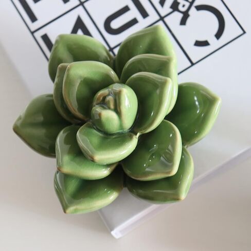Ceramic Succulent Flowers Table Top with Stable Base, 3D Handmade Tablescape Decorative (Green) in Saudi Arabia